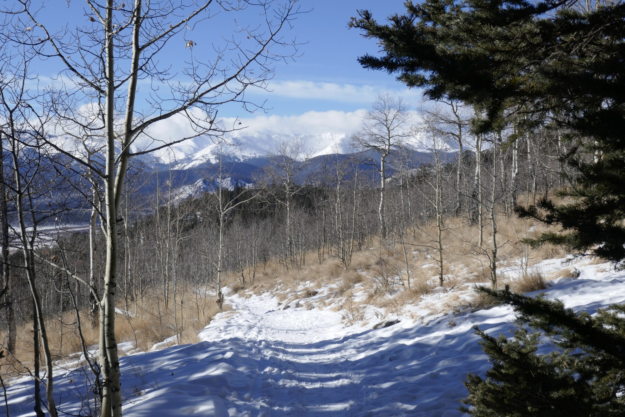 Intermediate Snowshoe Kenosha Pass The Colorado Mountain Club