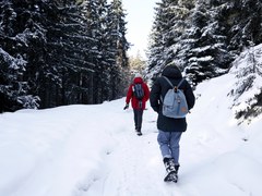 Fall and Winter Hiking Safety