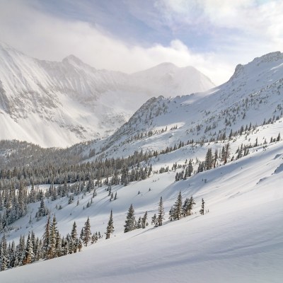 Avalanche Education – Cameron Pass Avalanche Terrain Avoidance Field Trip