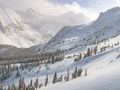 Avalanche Education – Cameron Pass Avalanche Terrain Avoidance Field Trip