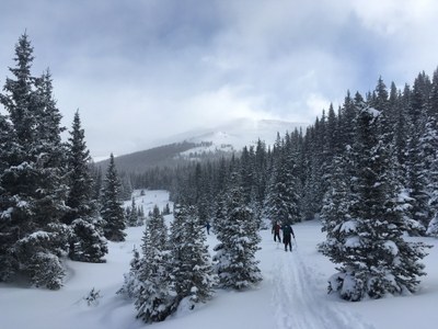 Backcountry Nordic Skiing – BC Ski Lower Bemrose Ski Circus
Moderate II Ski Tour