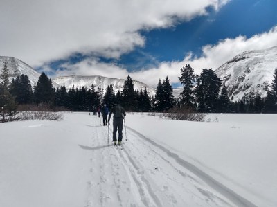 Backcountry Nordic Skiing – XC Ski Monarch Park / Dogs are welcome!