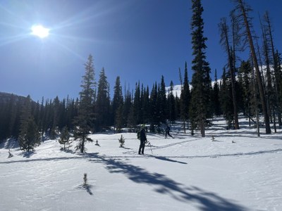 Backcountry Nordic Skiing – Zimmerman Lake to Meadows Trail