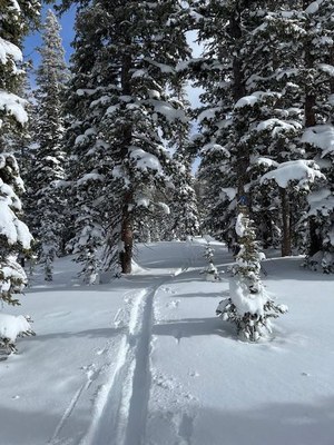 Backcountry Nordic Skiing – Zimmerman Lake to Meadows Trail