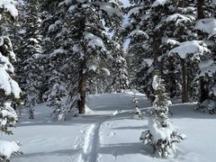 Backcountry Nordic Skiing – Zimmerman Lake to Meadows Trail