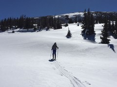 Backcountry Skiing/Splitboarding – Cameron Pass