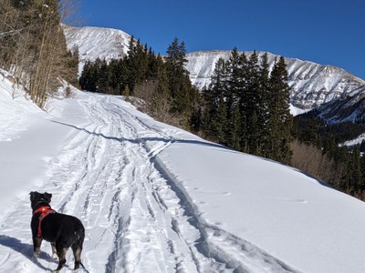 Backcountry Skiing/Splitboarding – Leadville XC Ski / Friendly dogs are welcome!