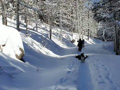 Basic Snowshoe – Davenport Campground Area-Squirrel Creek Trail