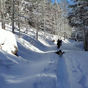 Basic Snowshoe – Davenport Campground Area-Squirrel Creek Trail