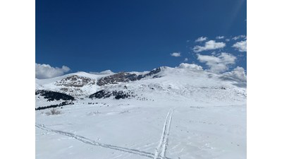 Basic Snowshoe – Guanella Pass