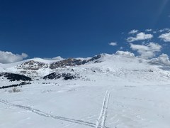 Basic Snowshoe – Guanella Pass