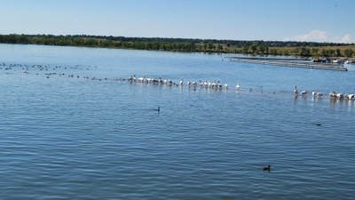 Bike – RMOTHG - Hare Ride - Cherry Creek Reservoir