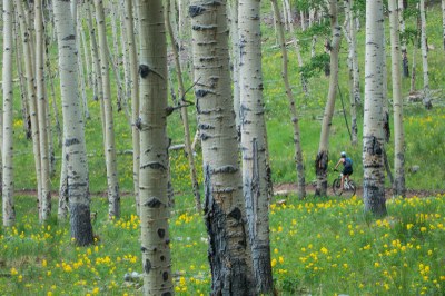 staunton state park mountain biking