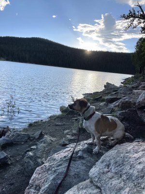 Camp – Jefferson Lake Recreation Area