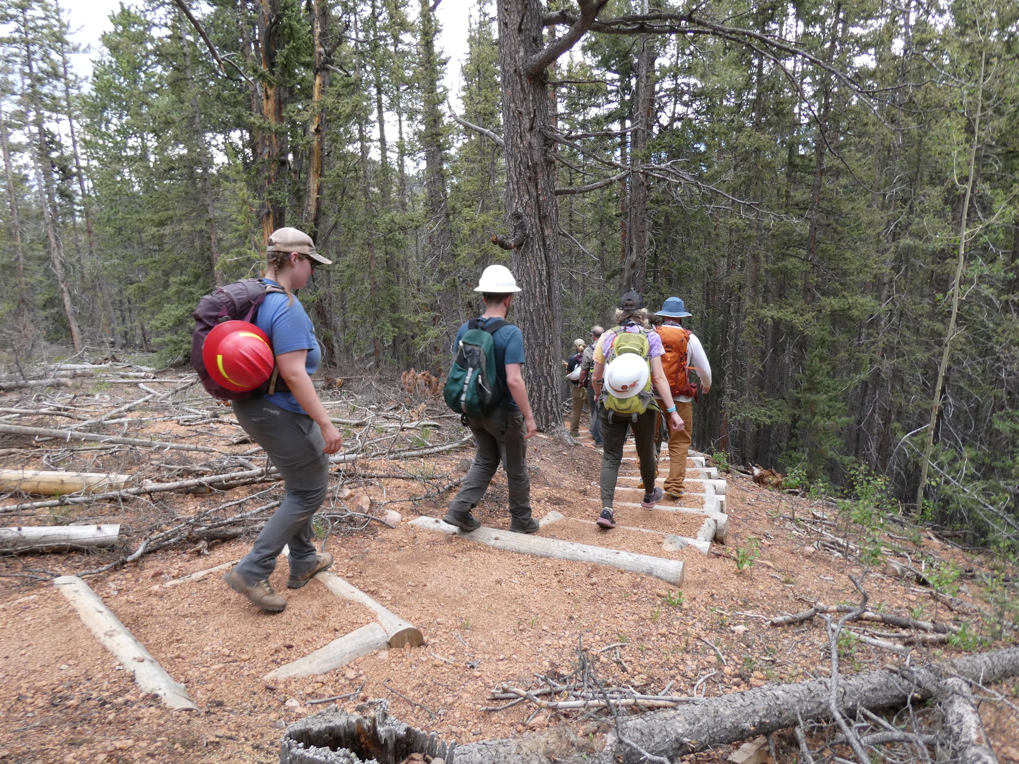 Conservation – The Crags Trail — The Colorado Mountain Club