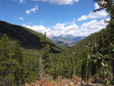 Hiking – Aspen Brook Wigwam Teahouse Hike