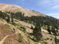 Hiking – Bard Creek Trail