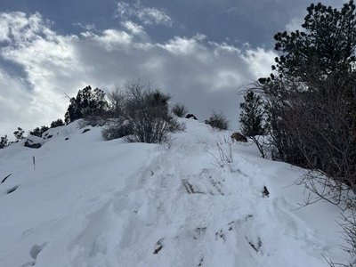 Hiking – Boulder Open Space