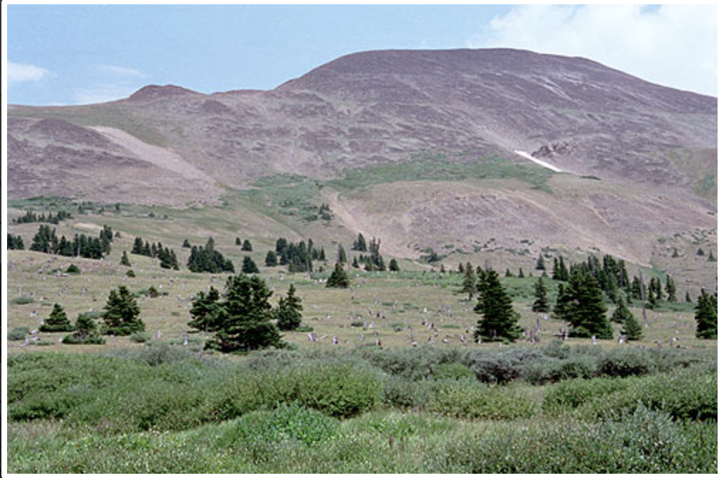 Hiking – Boreas Pass TH - Boreas Mountain — The Colorado Mountain Club