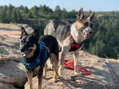 Hiking – Castlewood Canyon State Park