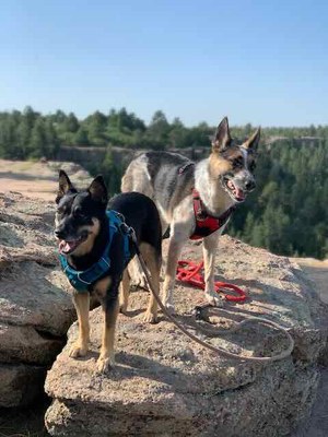 Hiking – Castlewood Canyon State Park