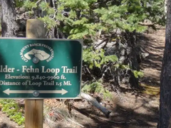 Hiking – Catamount Ranch Open Space - Elder-Fhen Loop