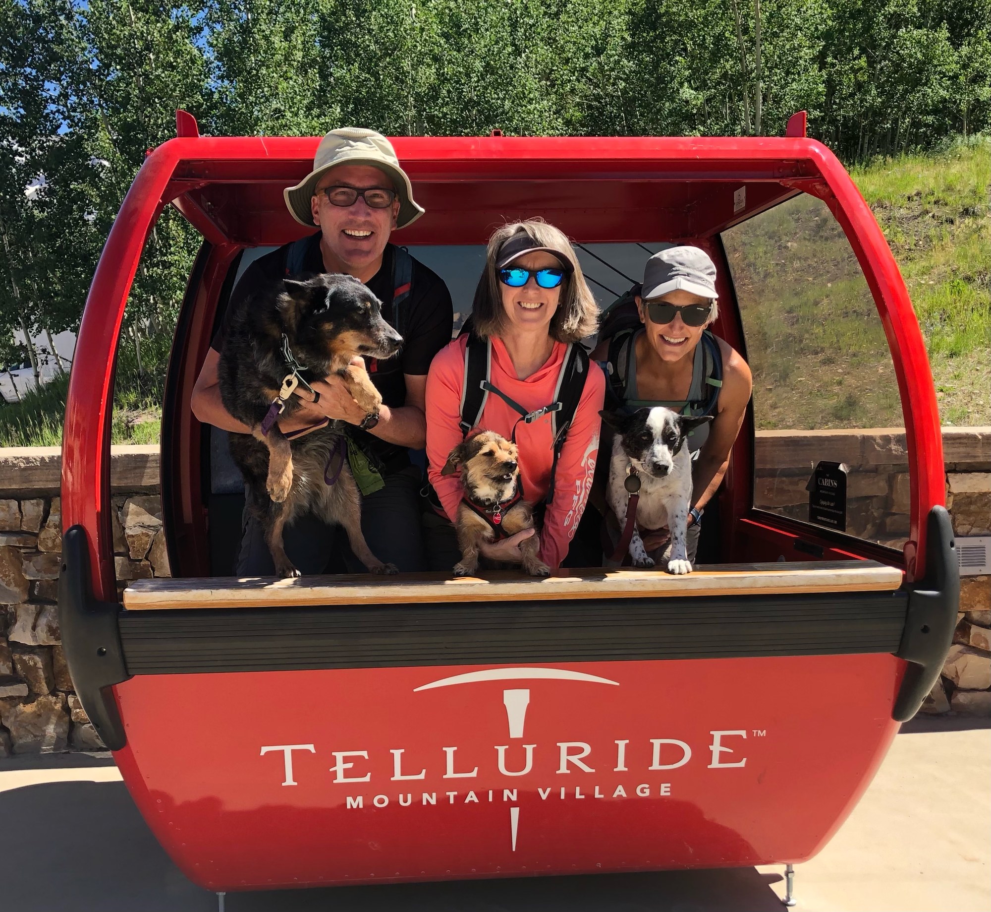 Hiking – Deep Creek, dog friendly shuttle hike (Telluride) — The ...