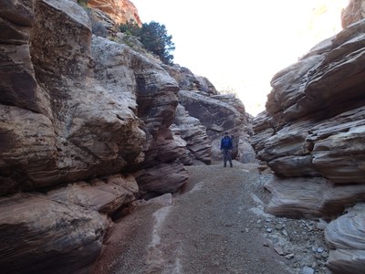 Hiking – Eardley Canyon, Utah