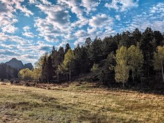 Hiking – Florissant Fossil Beds National Monument