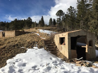 Hiking – Fremont Experimental Forest via Barr Trail