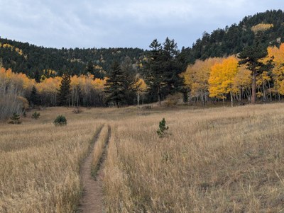 Hiking – Jamestown loop, up James Creek drainage to Gold Ridge, back down Slaughterhouse Gulch.