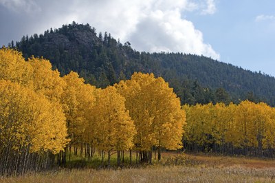 Hiking – Golden Gate Canyon State Park - Horseshoe Trail to Frazer Meadow