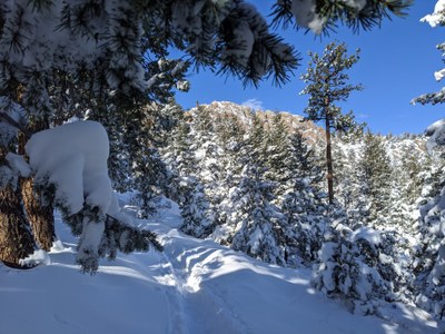 Hiking – Horsetooth Mountain Open Space