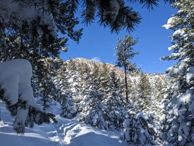 Hiking – Horsetooth Mountain Open Space