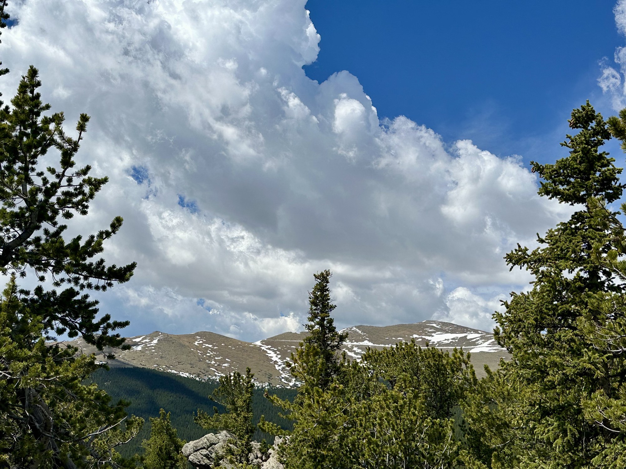 Hiking – Lincoln Lake via Resthouse Meadows Trail. — The Colorado ...