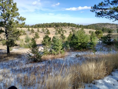 Hiking – Mount Falcon East - Mt. Falcon via Castle and Parmalee Trail Loop