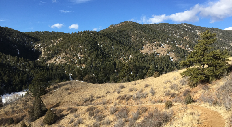 Hiking – North Fork Trail — The Colorado Mountain Club