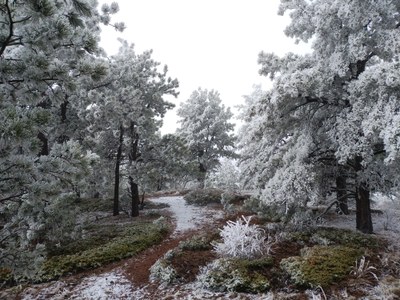 Hiking – Palmer Lake Reservoir Trailhead - Chatauqua Mountain