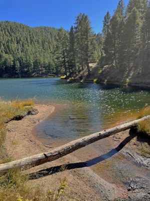 Hiking – Palmer Lake Reservoir Trailhead