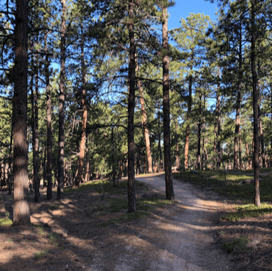 Hiking – Pikes Peak Loop - Black Forest