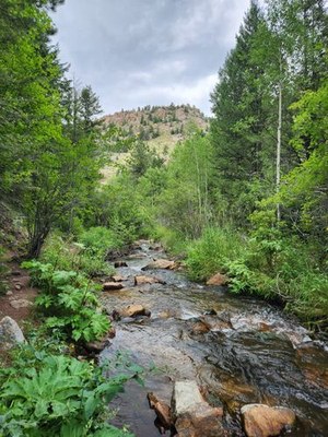 Hiking – Pretty 5-mile hike from Allenspark along Rock Creek through forest, meadows and mining ruins to Fox Creek and the box canyon "Grotto" waterfall.