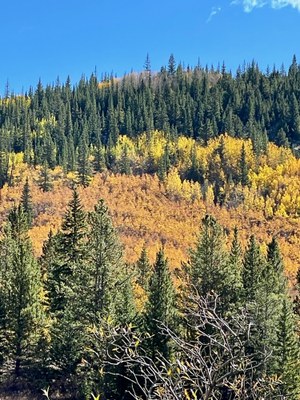 Hiking – Rosalie Trail - Guanella Pass TH