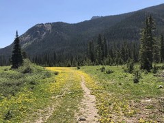 Hiking – Seven Utes Mountain