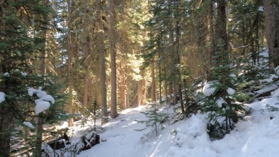 Intermediate Snowshoe – Brainard Lake Rec Area - Winter Gateway