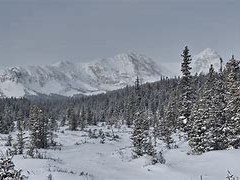 Intermediate Snowshoe – Brainard Lake Rec Area - Winter Gateway