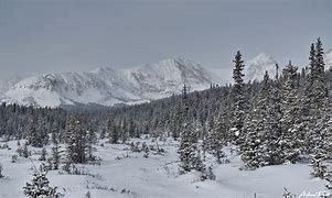 Intermediate Snowshoe – Brainard Lake Rec Area - Winter Gateway