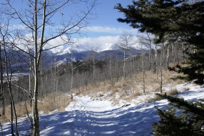 Intermediate Snowshoe – Kenosha Pass