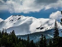 Intermediate Snowshoe – Leland Creek, Fool Creek, King Creek Loop