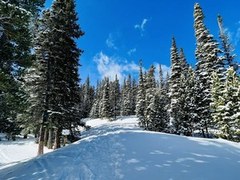 Intermediate Snowshoe – Sourdough Trail