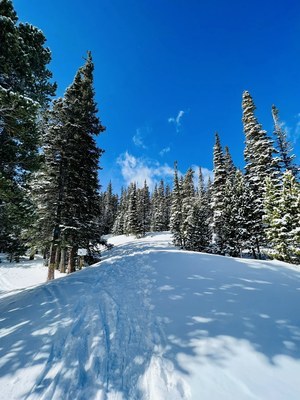 Intermediate Snowshoe – Sourdough Trail